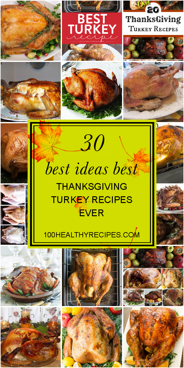 30 Best Ideas Best Thanksgiving Turkey Recipes Ever Best Diet and